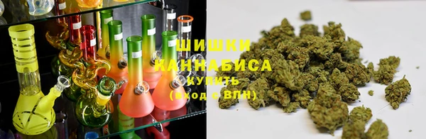дурь Алзамай